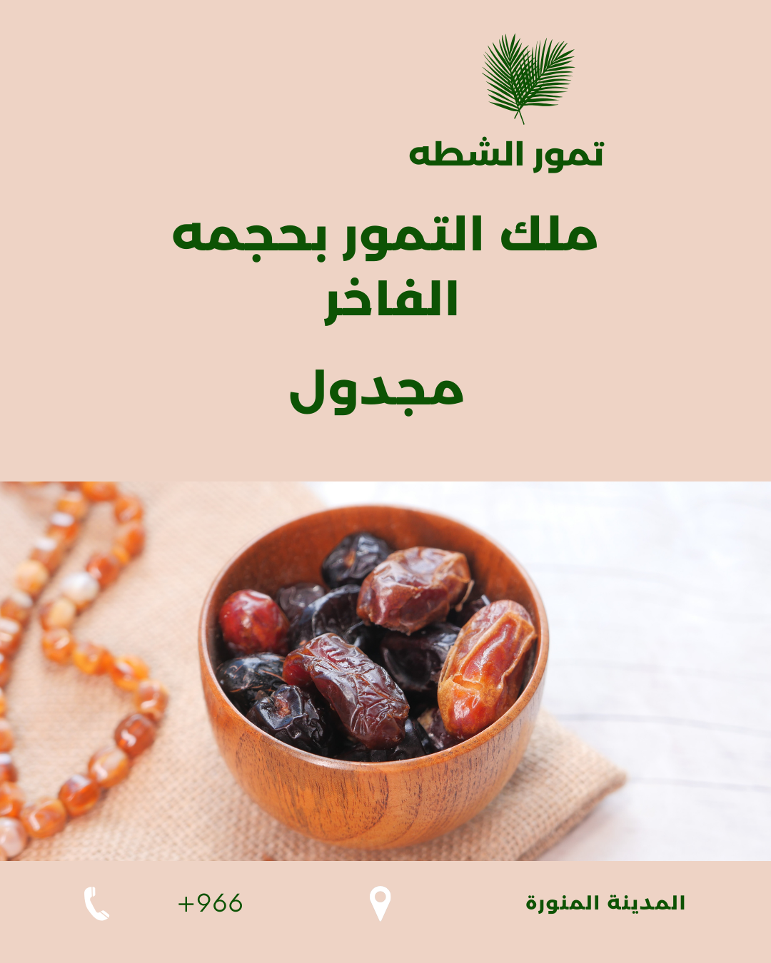 مجدول– ملك التمور بحجمه الفاخر