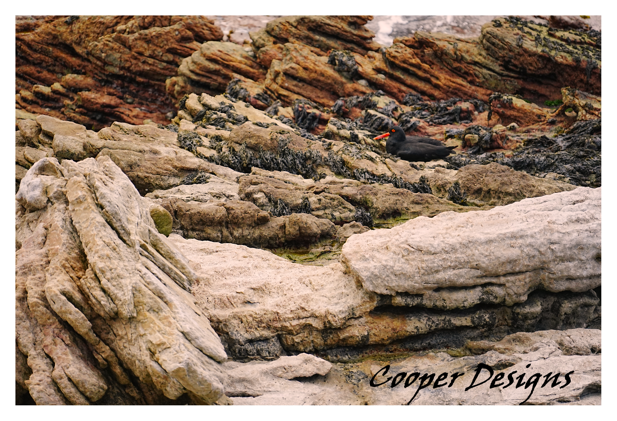 Coastal Rock Formation Art Print