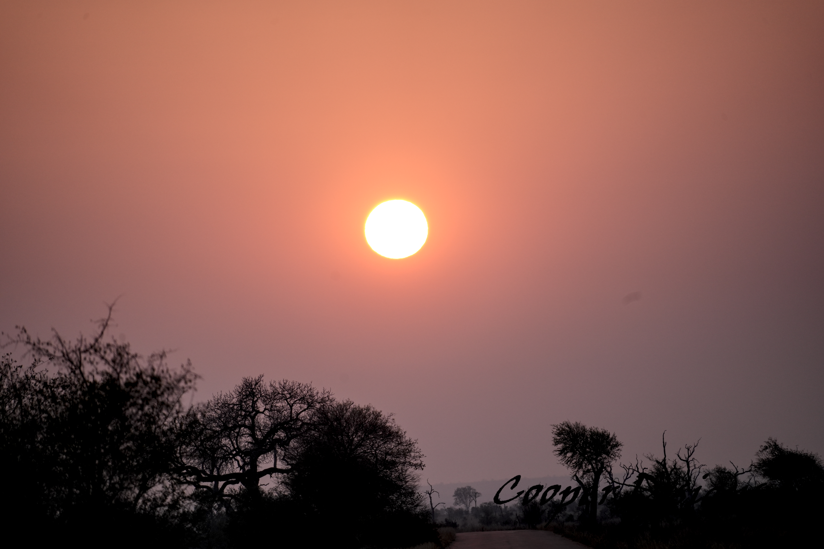 Sunset Landscape Wall Art