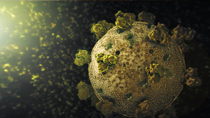 3D Cinematic Covid 19