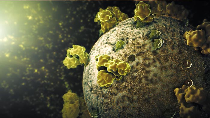 3D Cinematic Covid 19