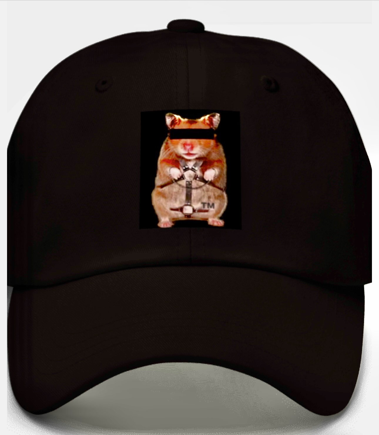 GBSM ButtGerbil classic cap