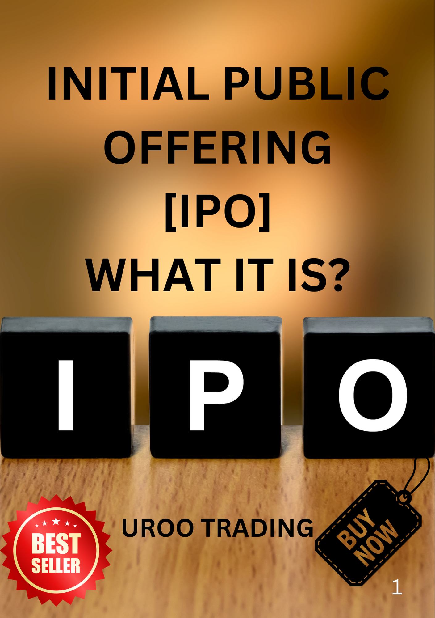 Initial Public Offering (IPO)