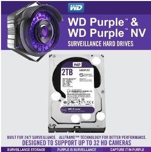  2TB Surveillance Hard Drive (WD20PURX)