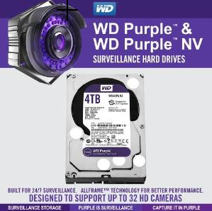 4TB Surveillance Hard Drive (WD40PURZ)
