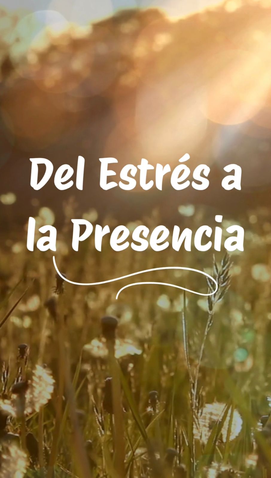 Del Estrés a la Presencia