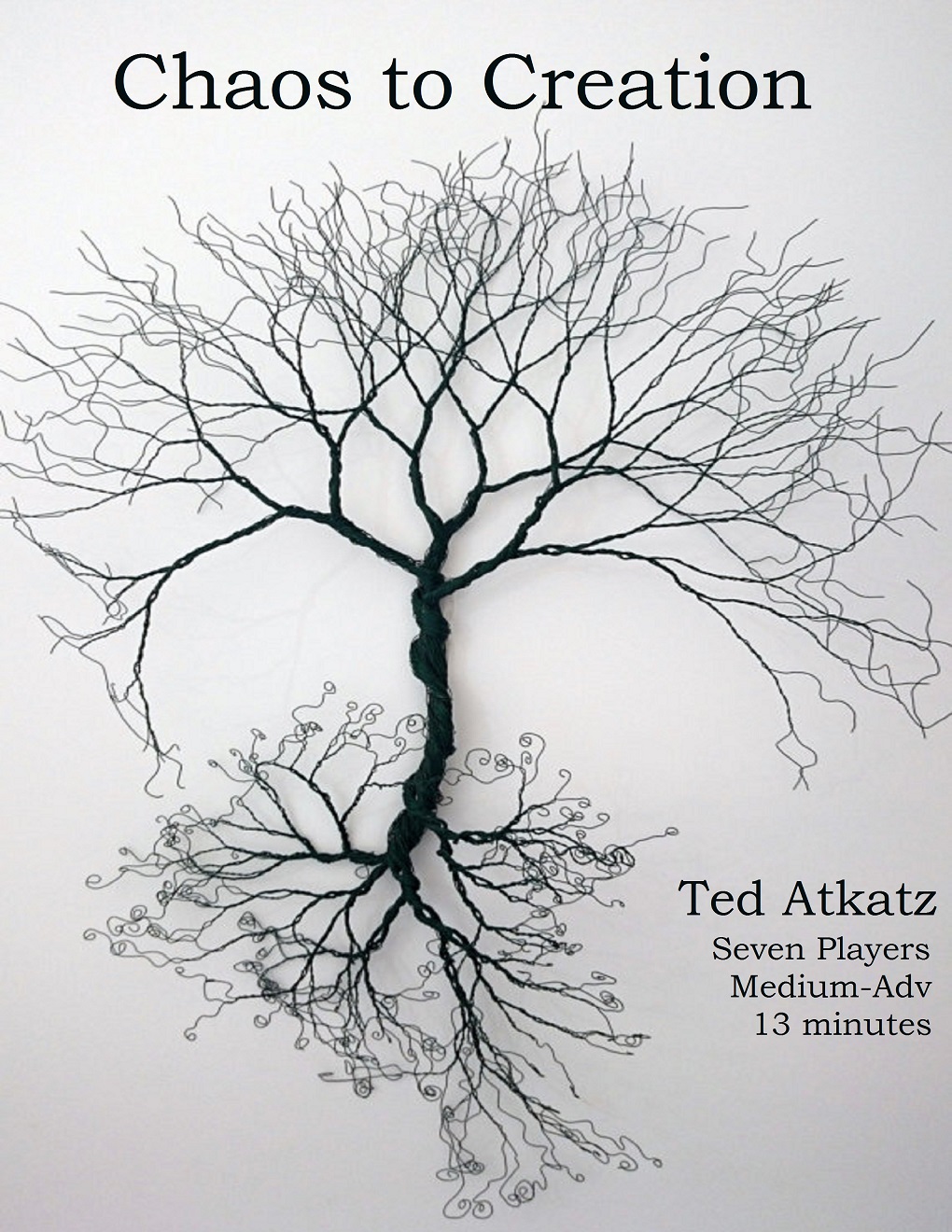 Chaos to Creation (Atkatz)