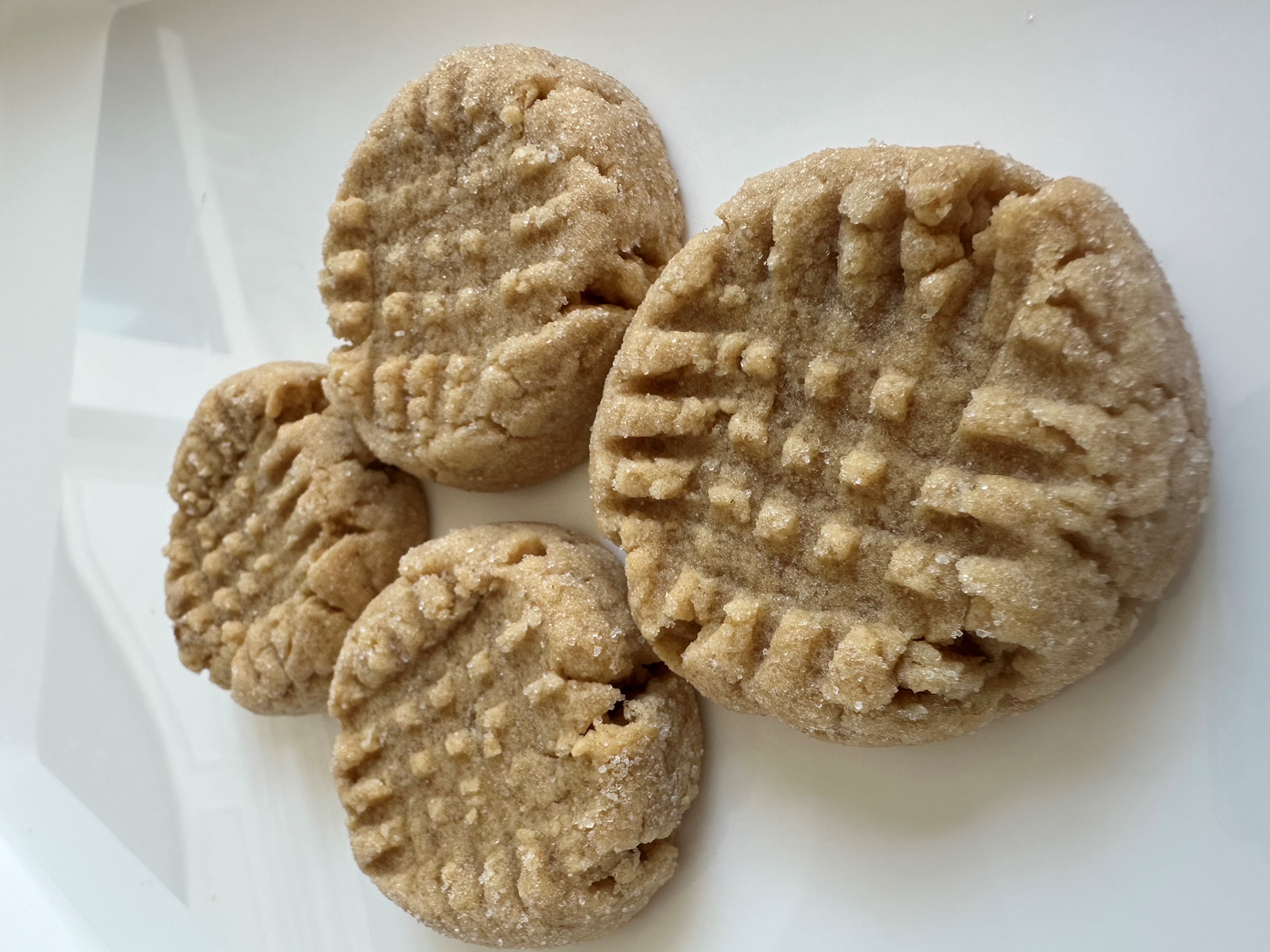 Peanut Butter Cookie