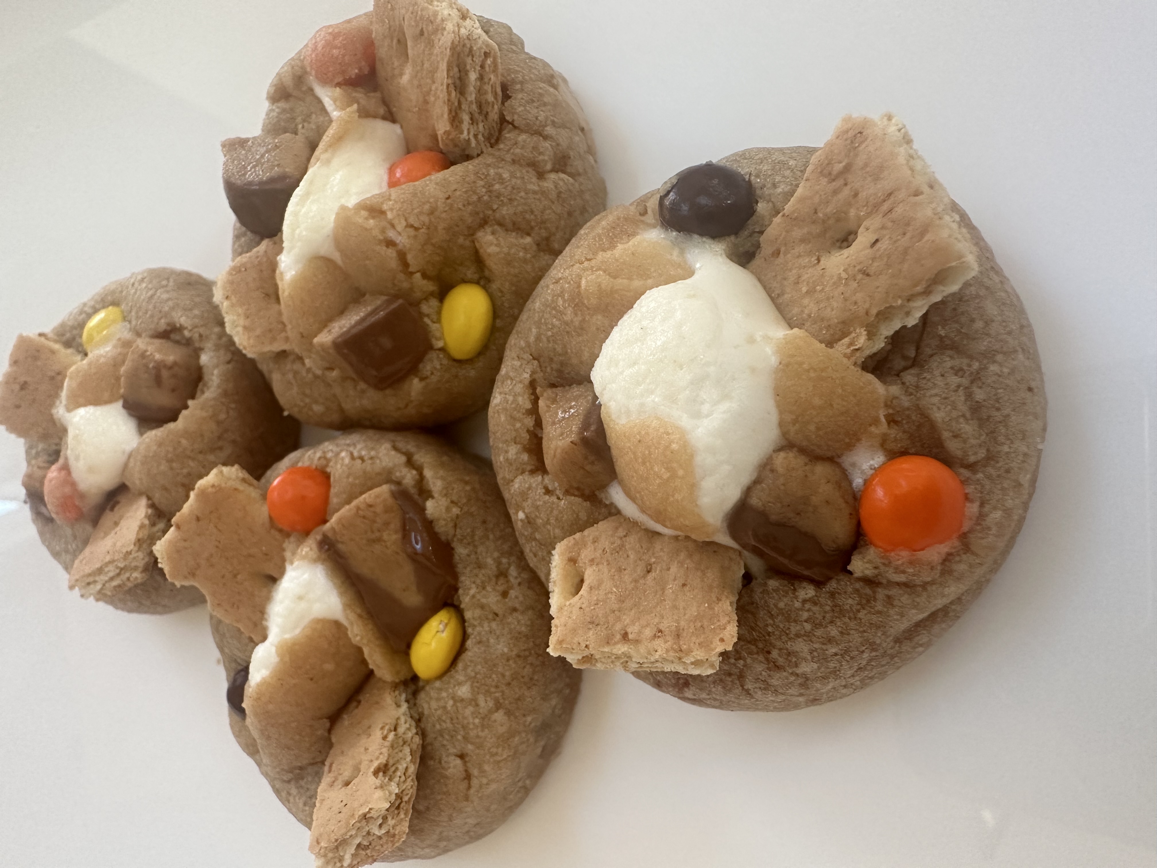 S’mores Peanut Butter Lovers