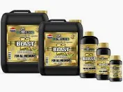 BioGreen X-Blast - Bloom Stimulator, Bloom