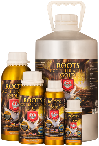House & Garden Roots Excelurator Gold - Root, Grow