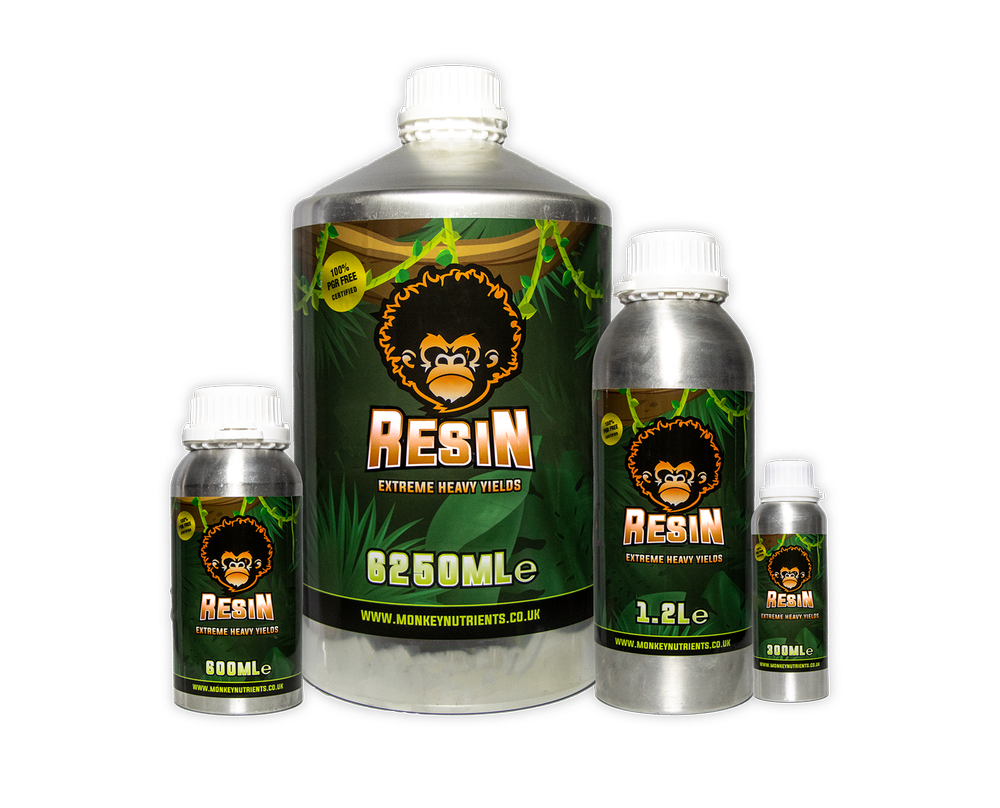 Monkey Resin - Bloom, Flavour