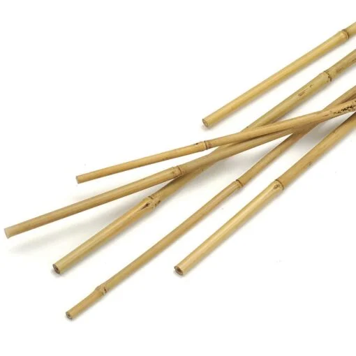 Bamboo Sticks 4ft (1.22m)