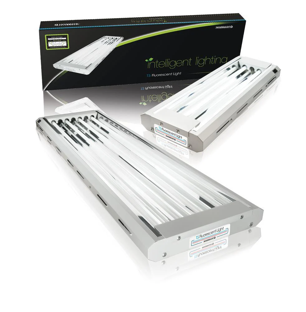 Maxibright Propagation Lights