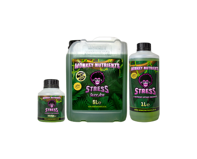Monkey Nutrients Stress 