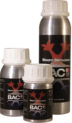  BAC Bloom Stimulator