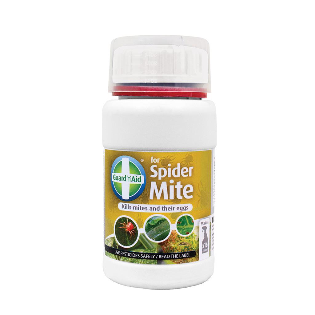 Spider Mite Pest Control