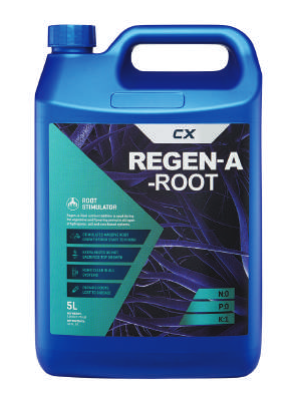  CX Regen-A Root