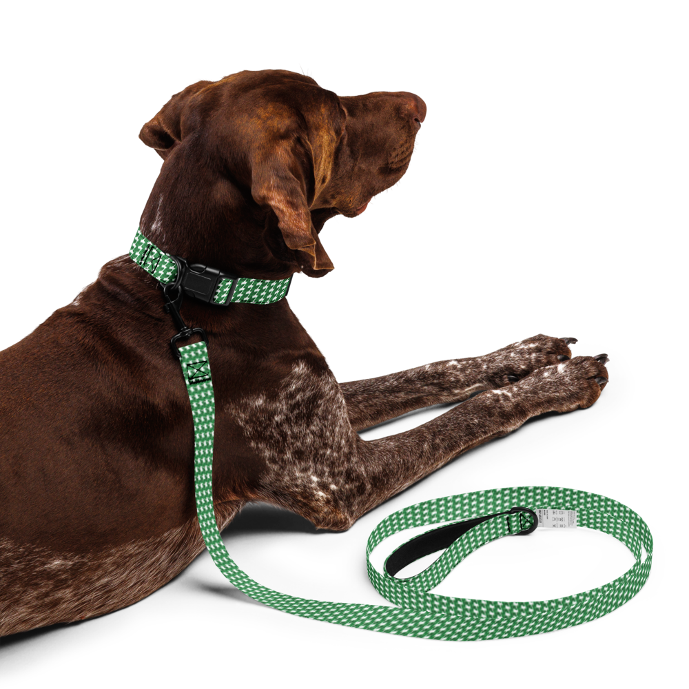 GusNdMia Collar & Leash