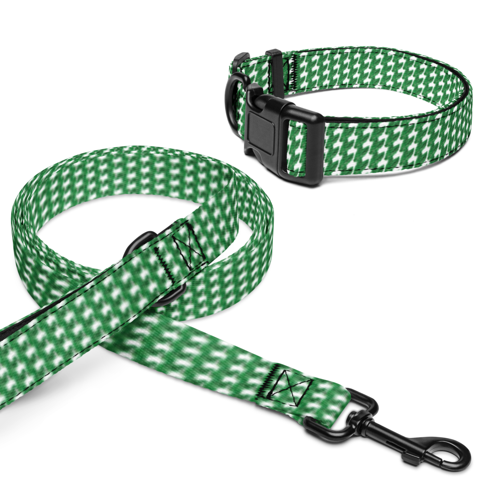 GusNdMia Collar & Leash