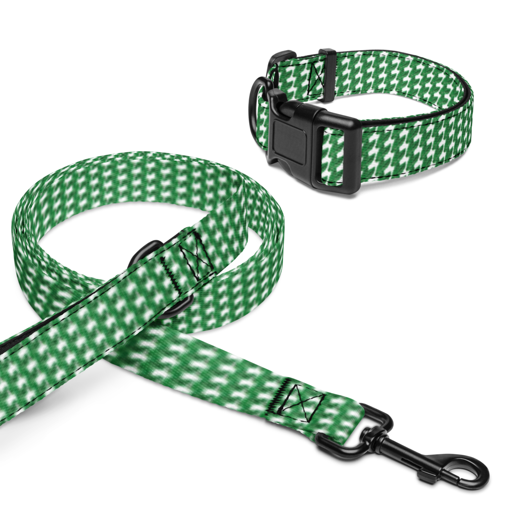 GusNdMia Collar & Leash