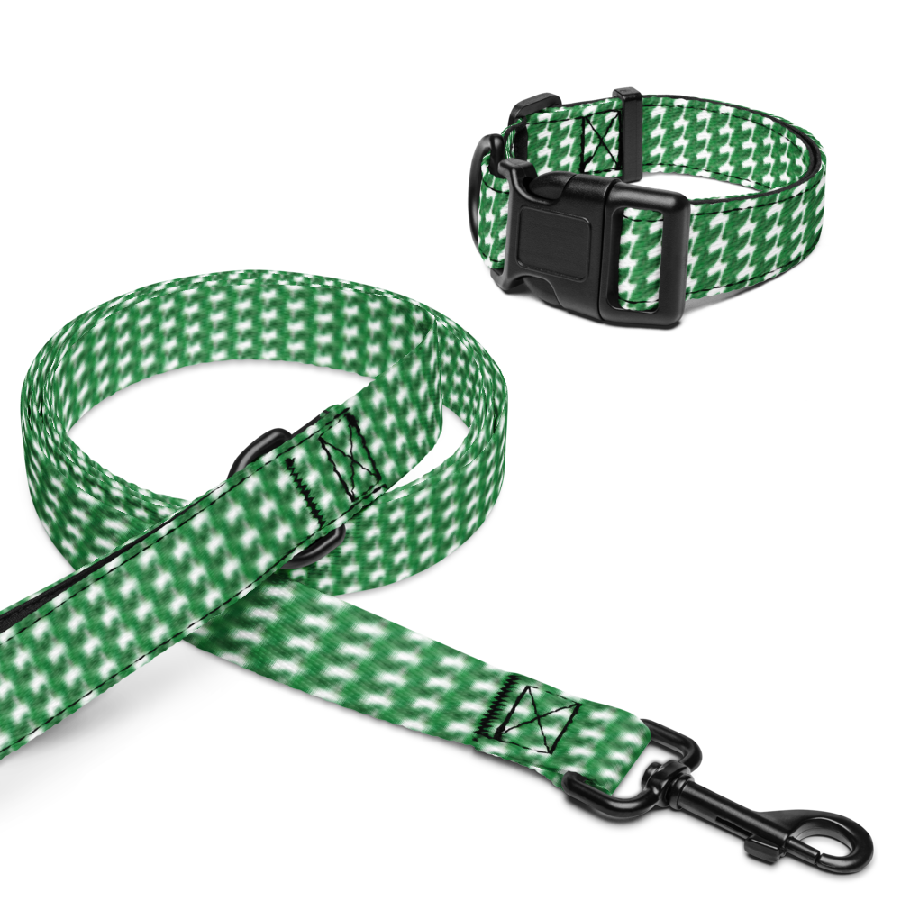 GusNdMia Collar & Leash