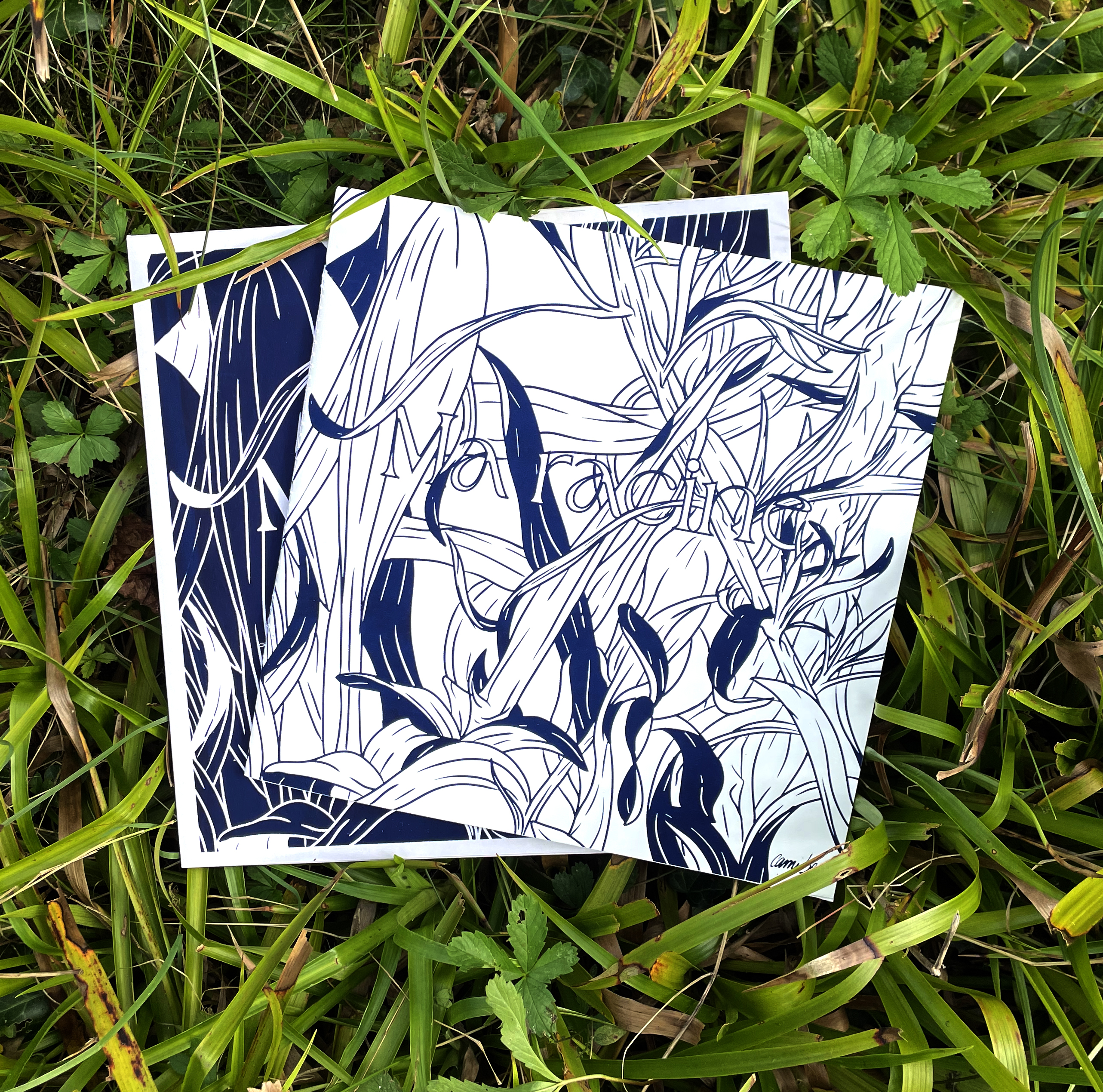 Ma racine est au fond des bois