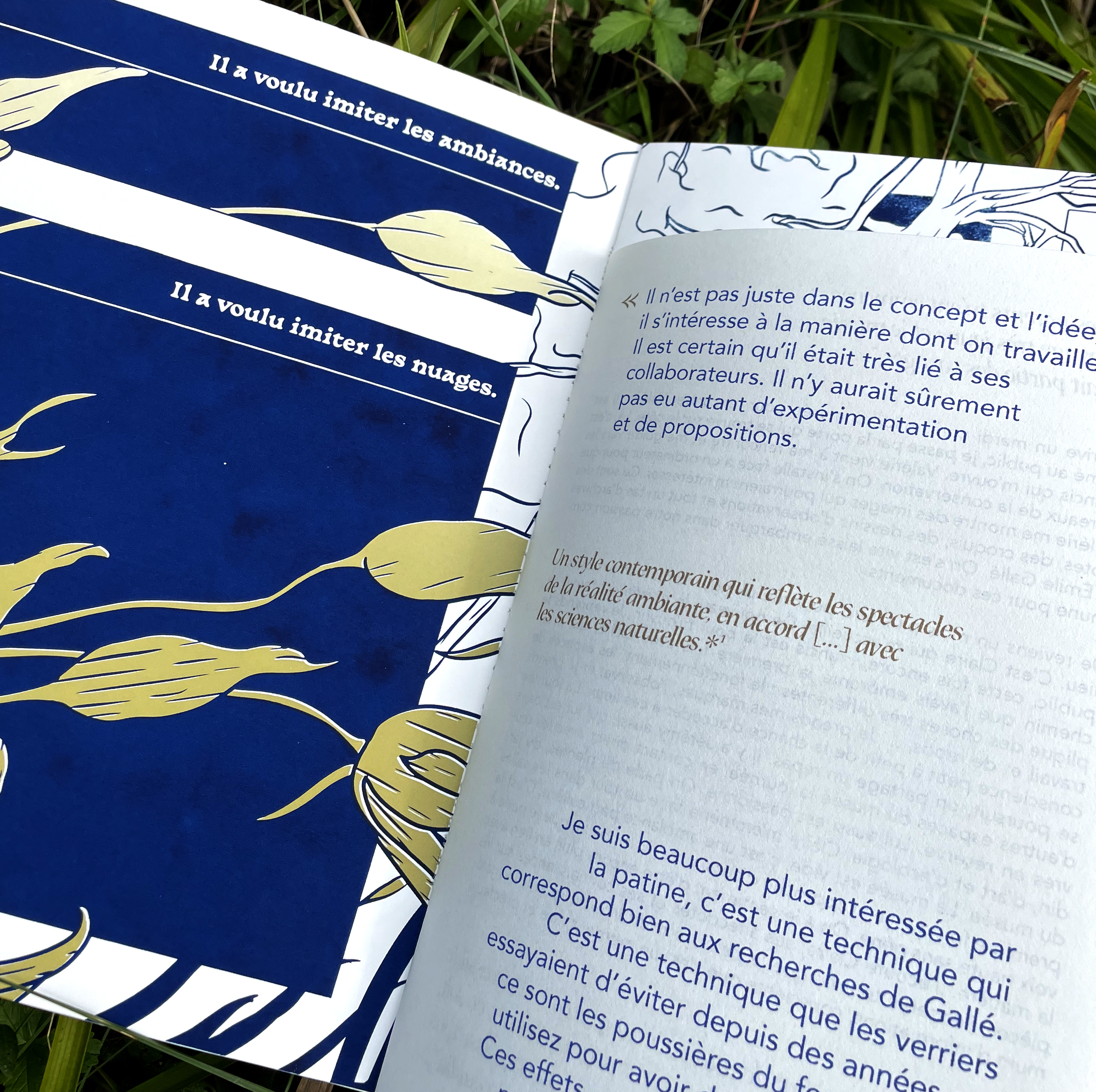 Ma racine est au fond des bois