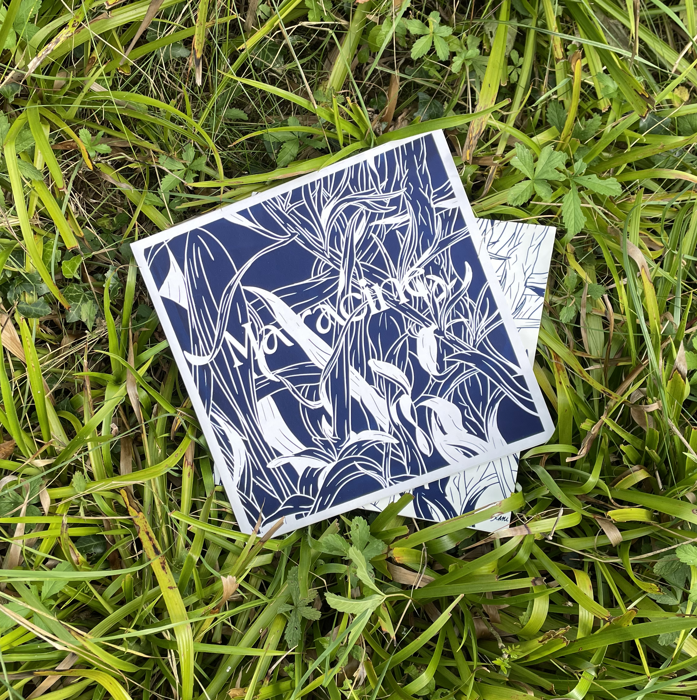 Ma racine est au fond des bois