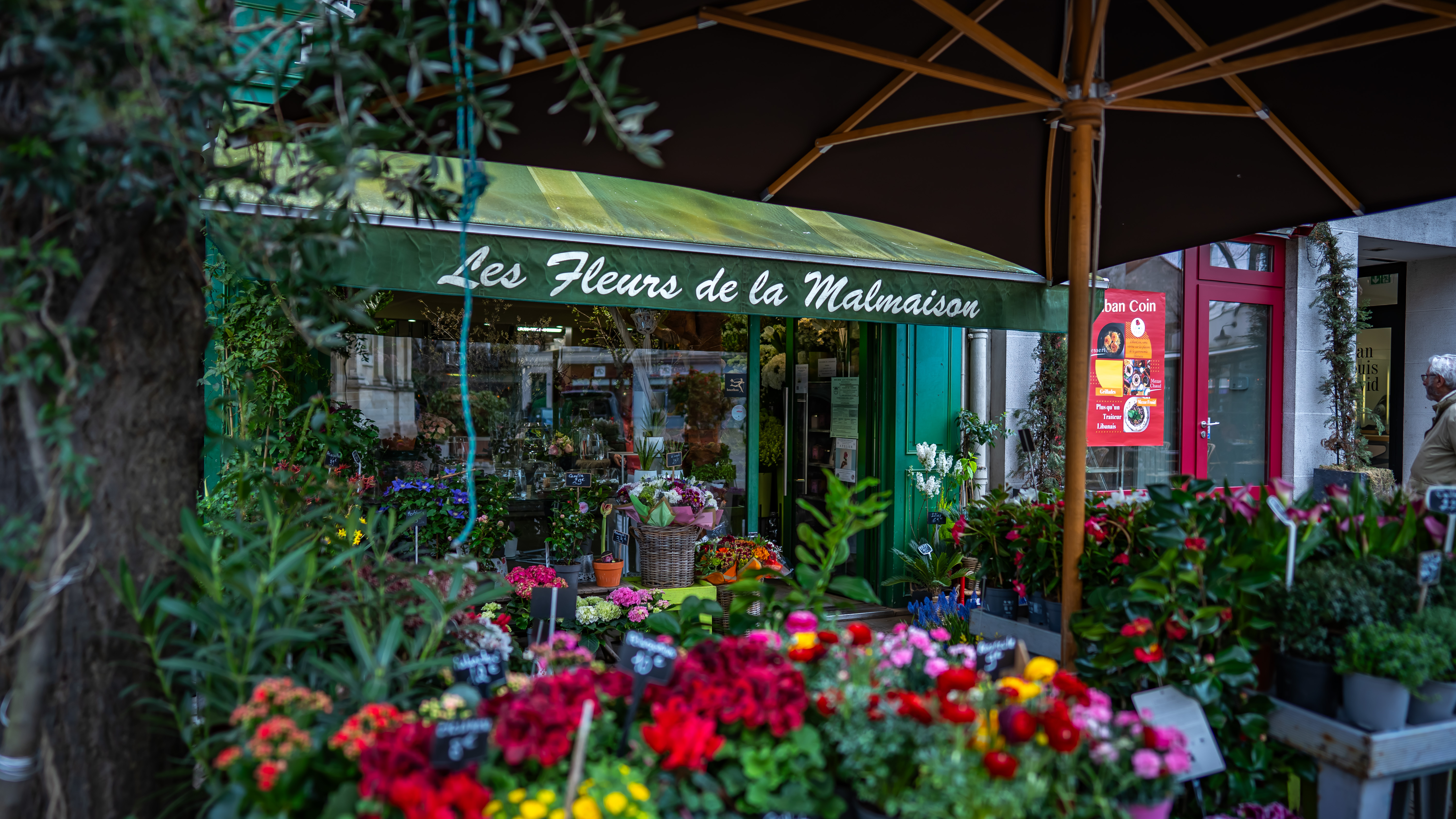 Les Fleurs de la Malmaison