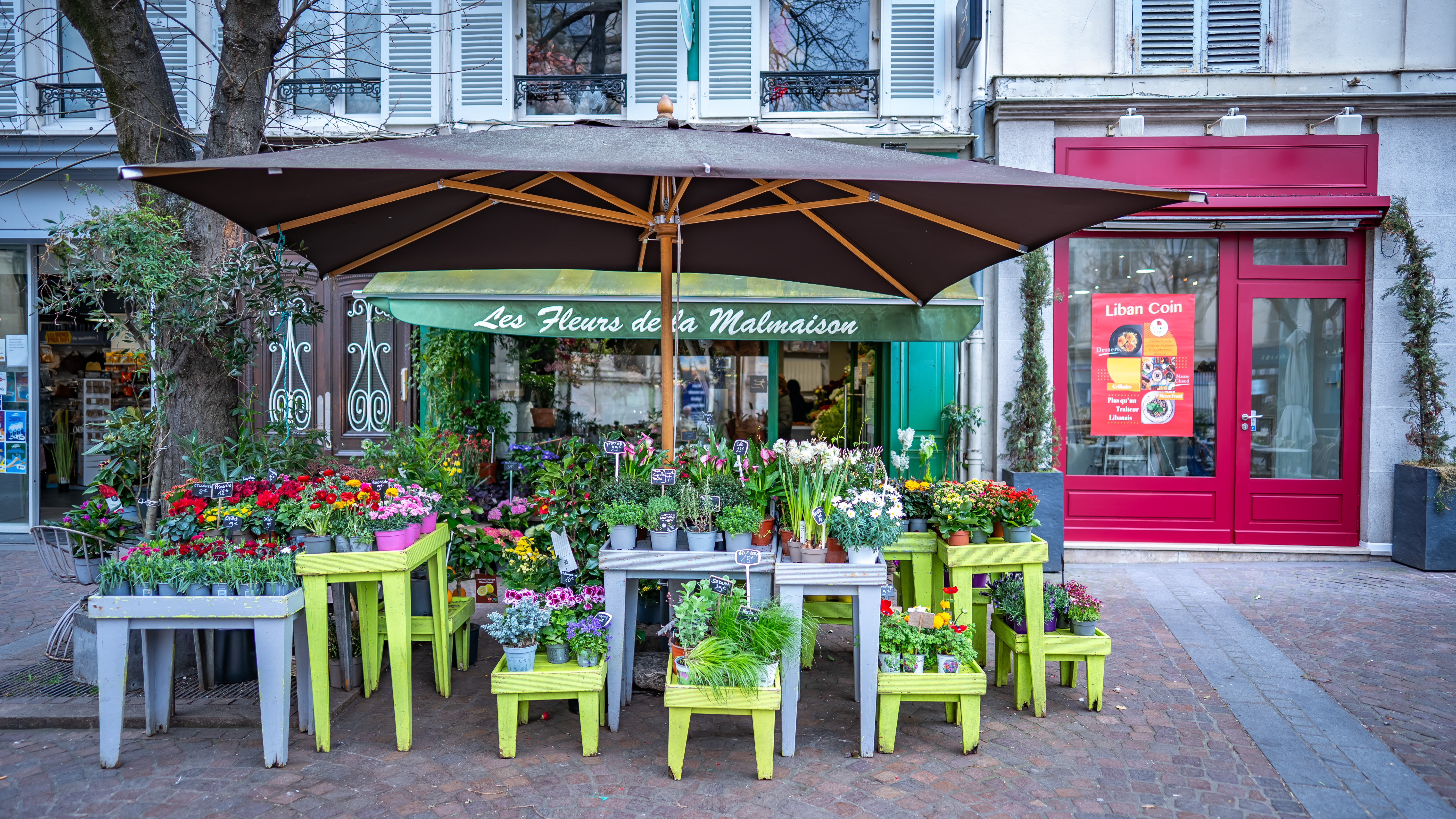 Les Fleurs de la Malmaison