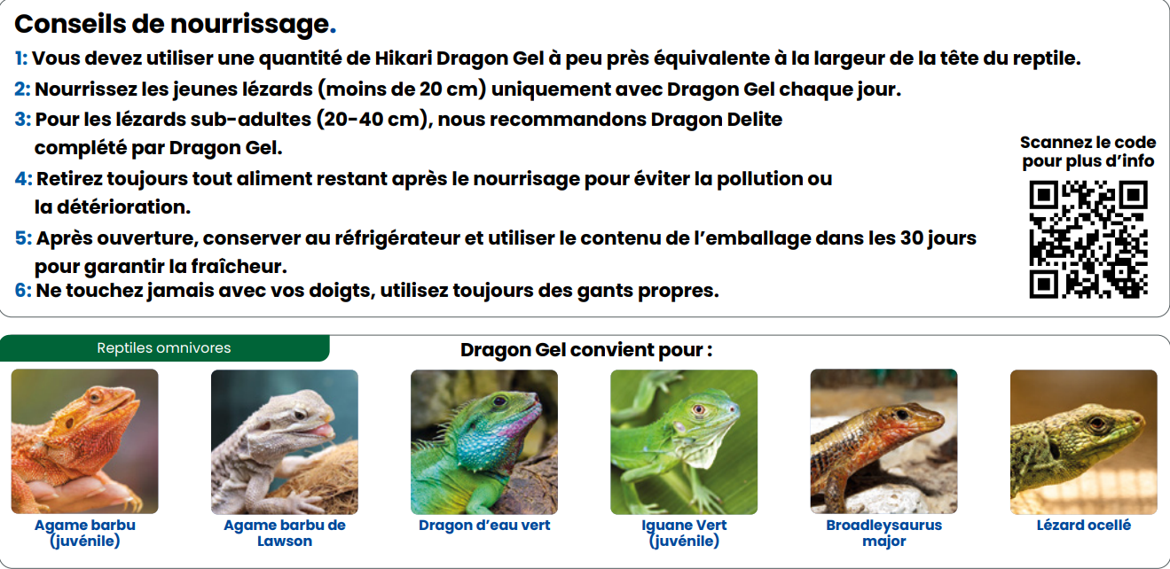 HIKARI DRAGONGEL 60 GRAMMES
