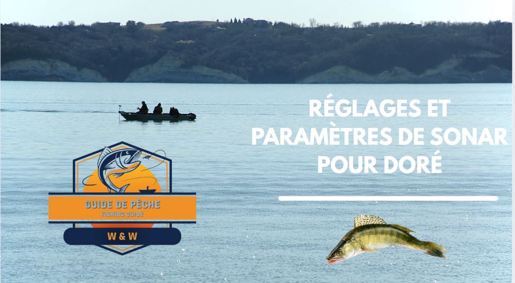 Doré - Meilleurs réglages et paramètres de sonar (E-Book - 18 pages)