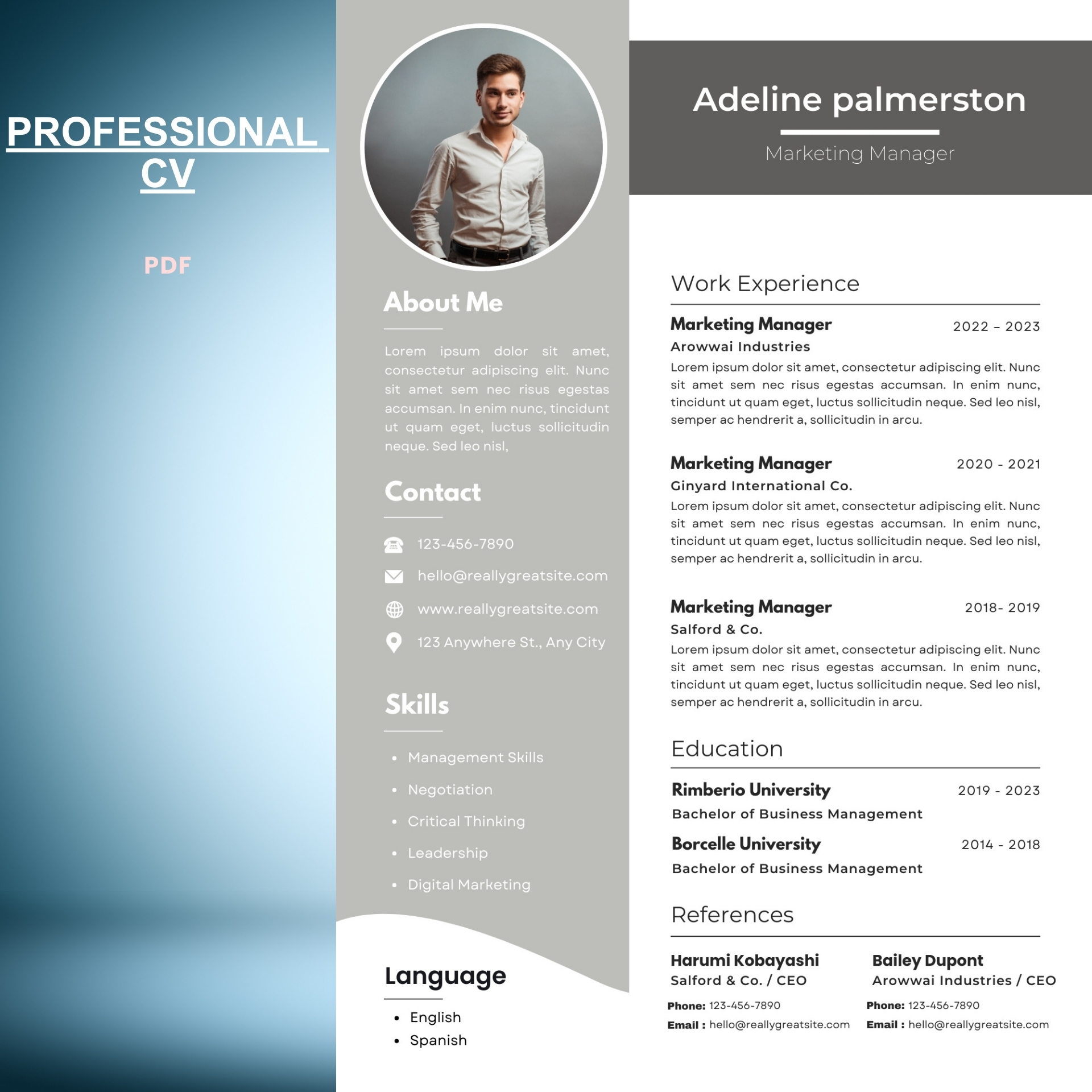 Professional CV Template