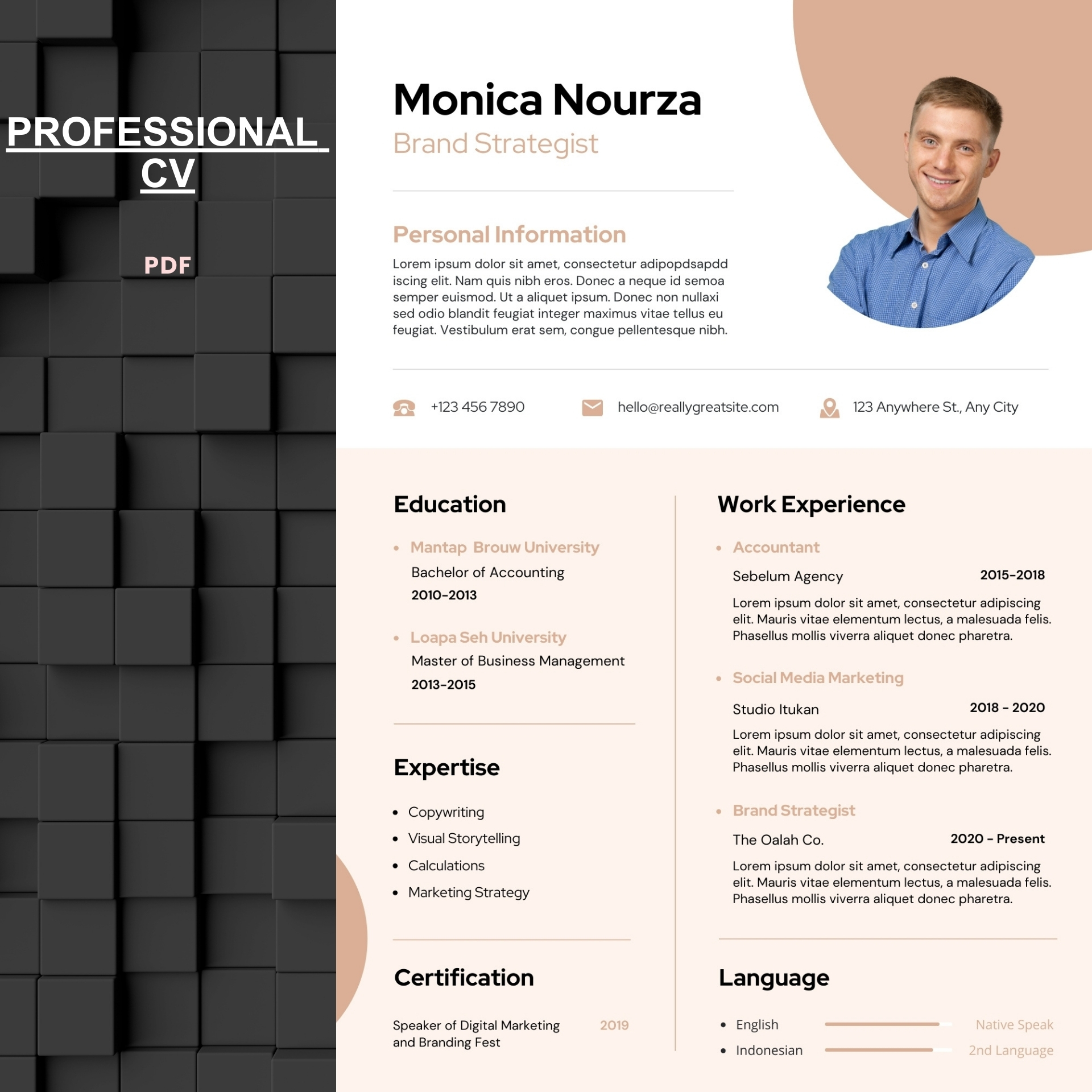 Professional CV Template