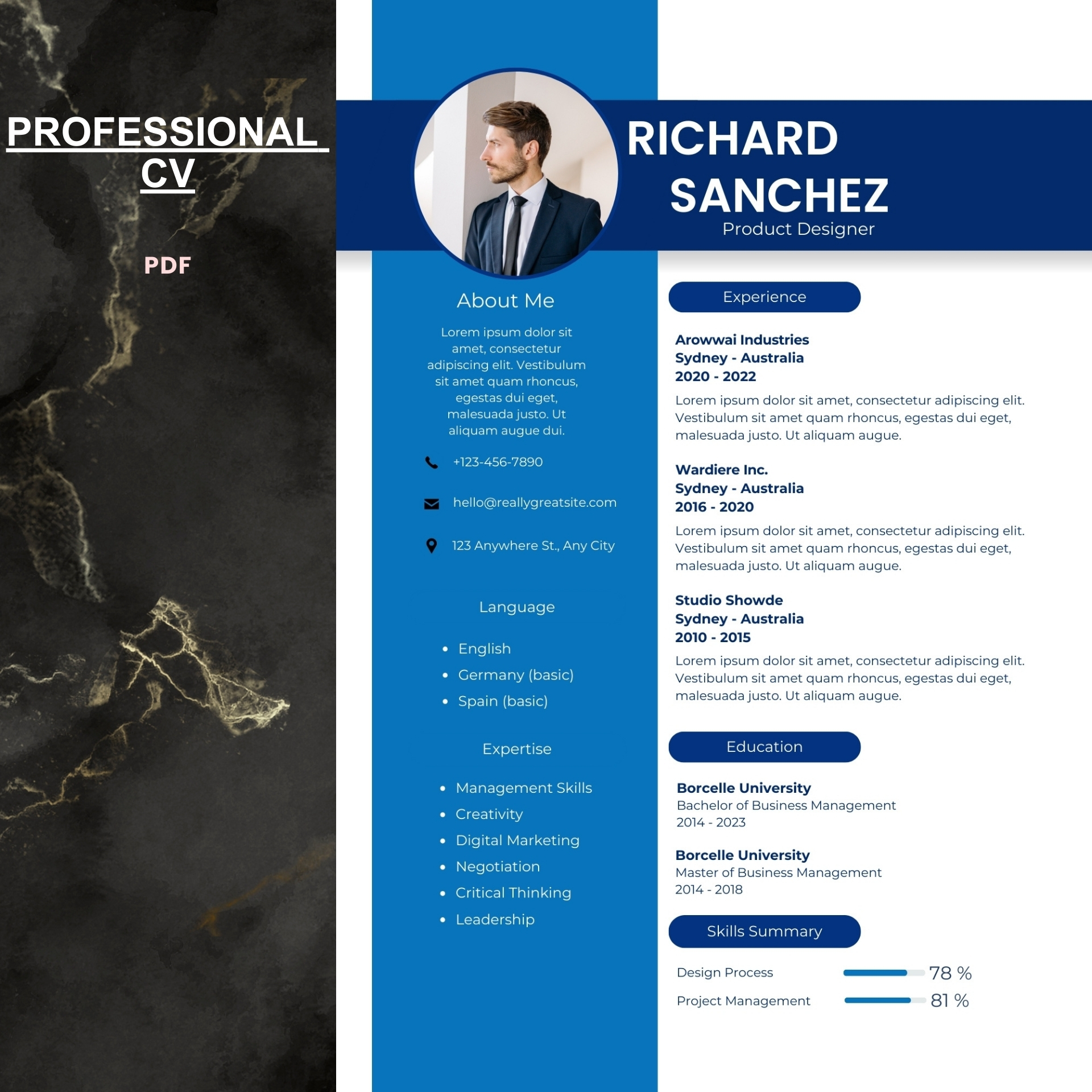 Professional CV Template