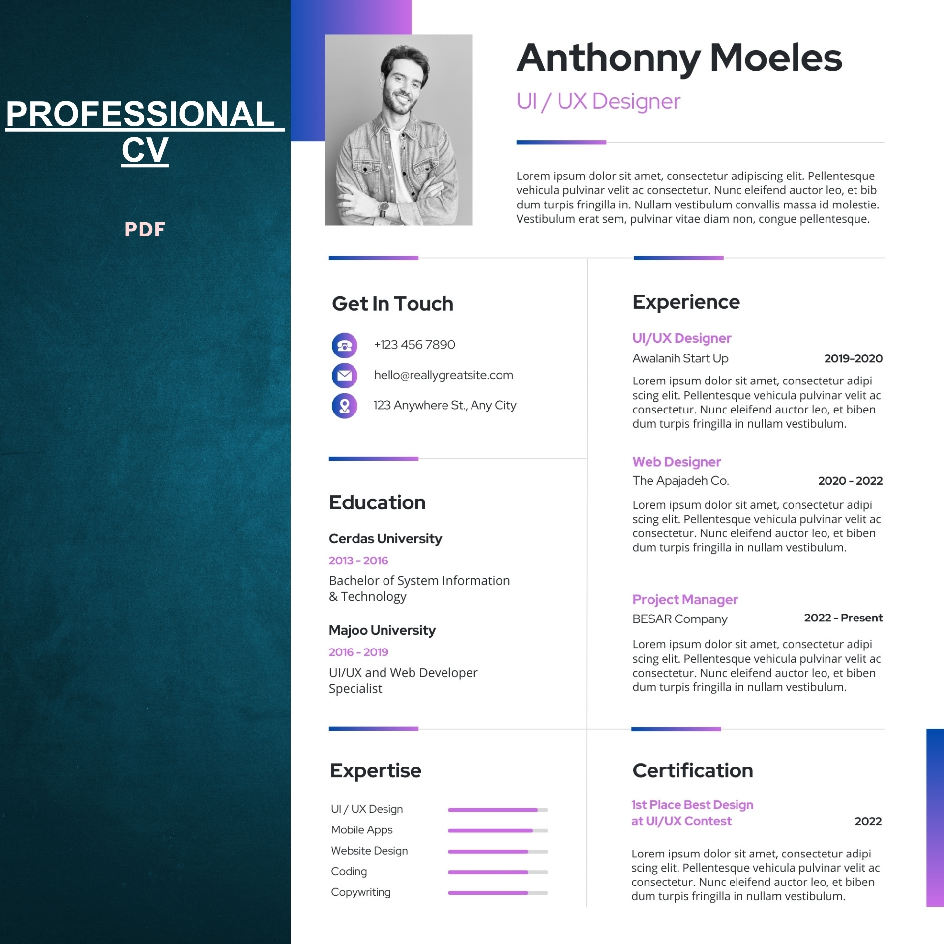 Professional CV Template