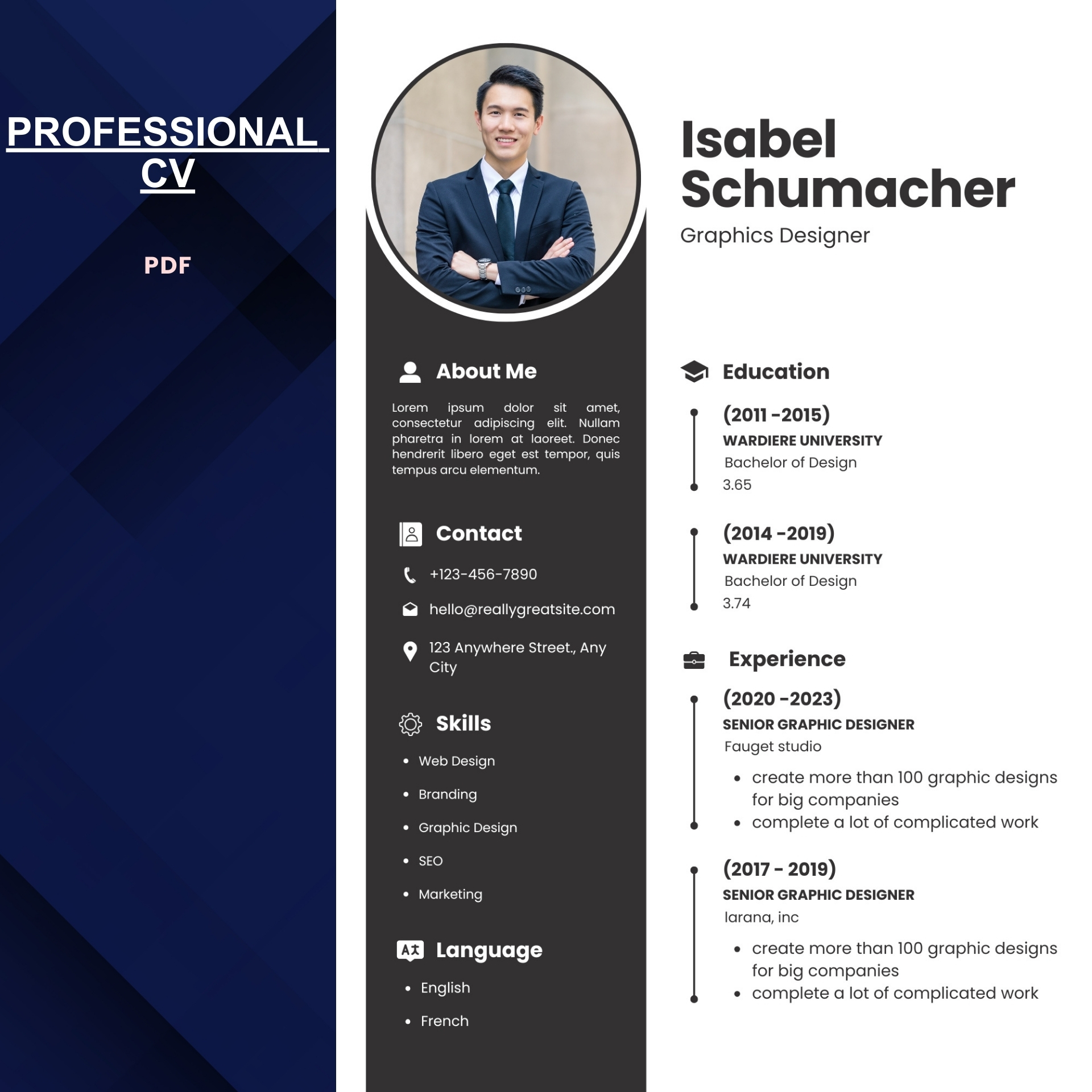 Professional CV Template