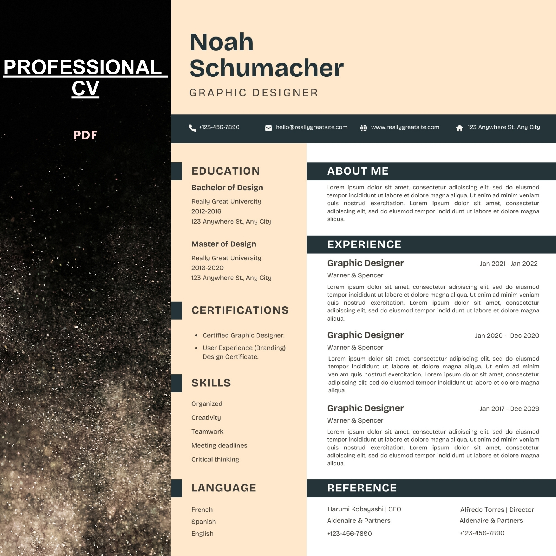 Professional CV Template