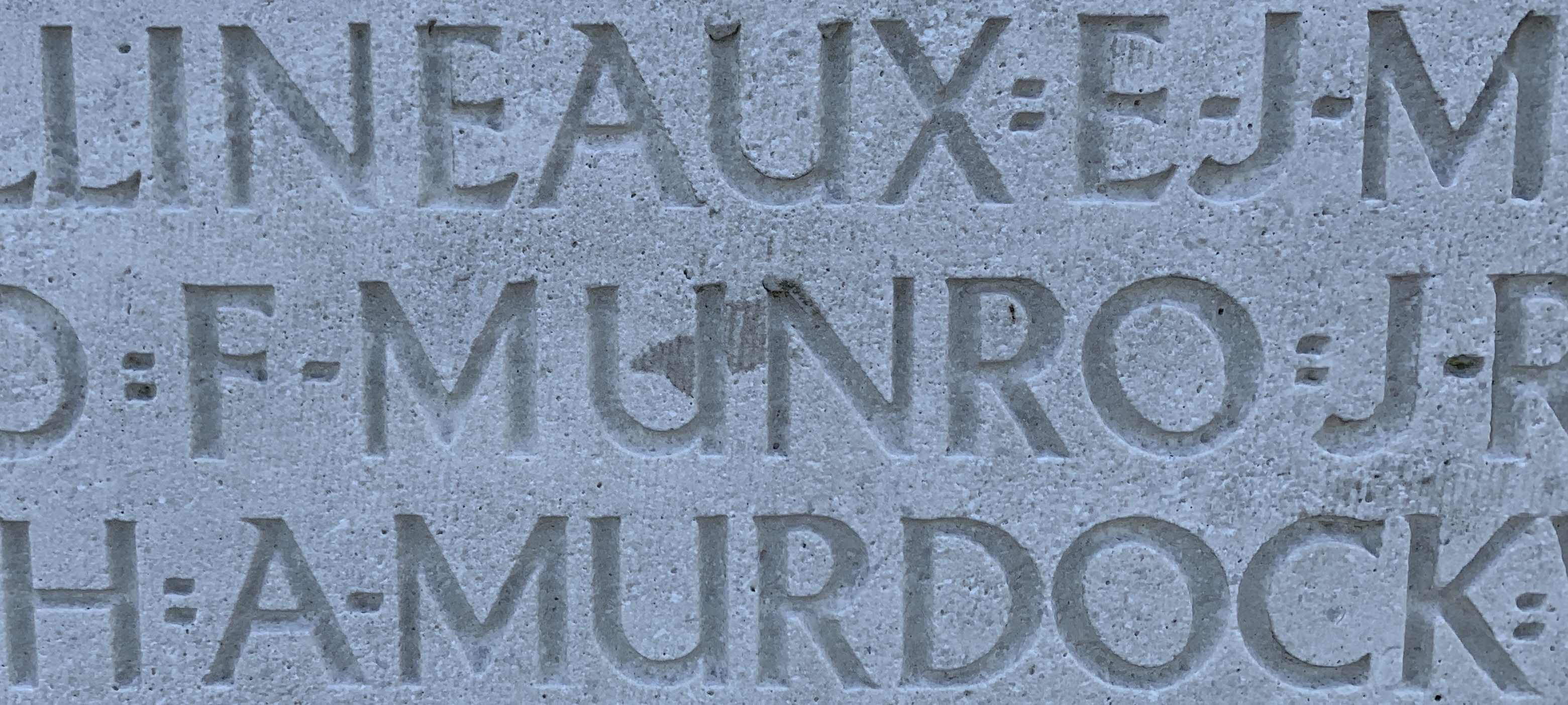 811461 Private Frank Munro