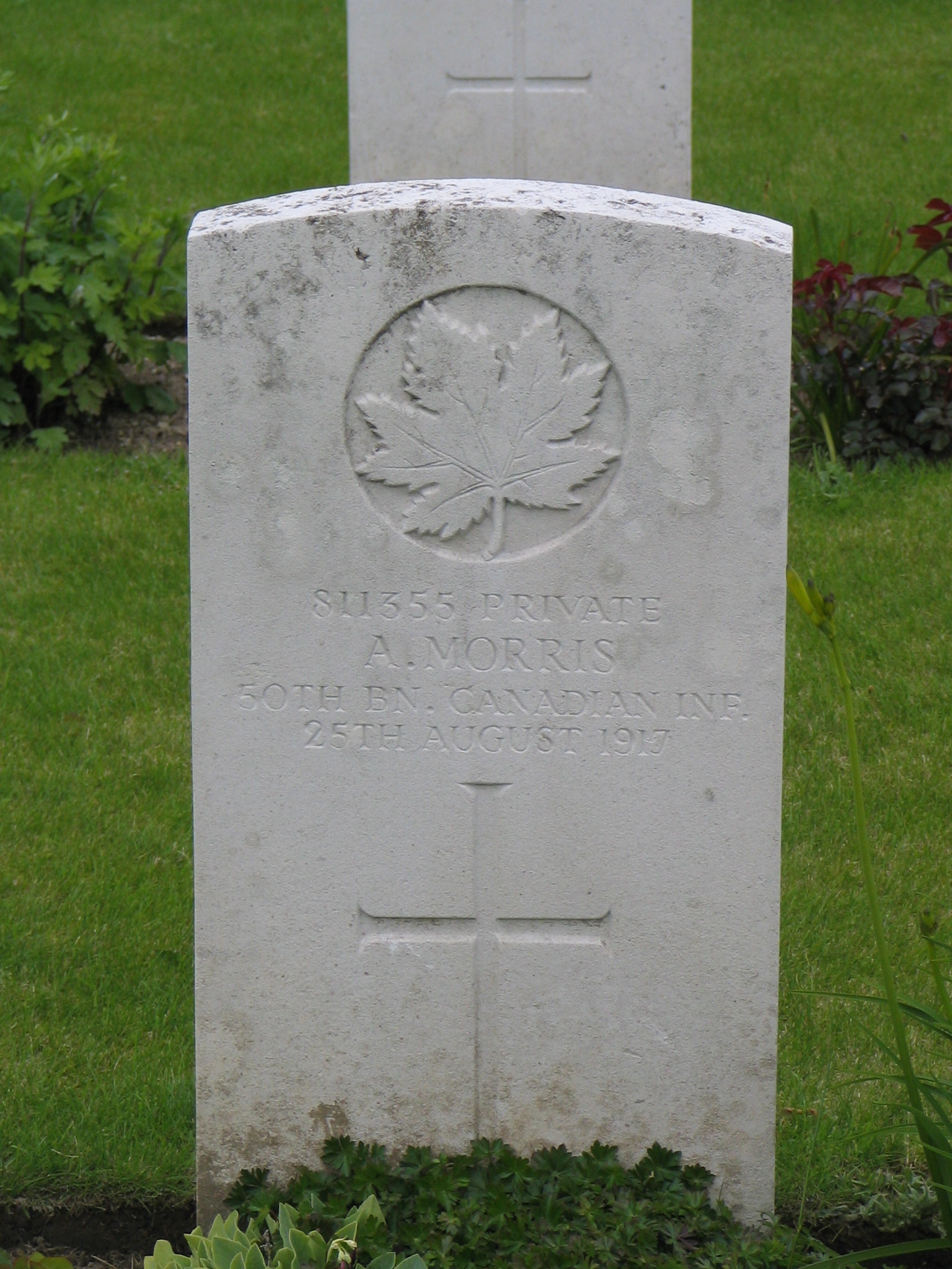 811355 Private Alexander Morris