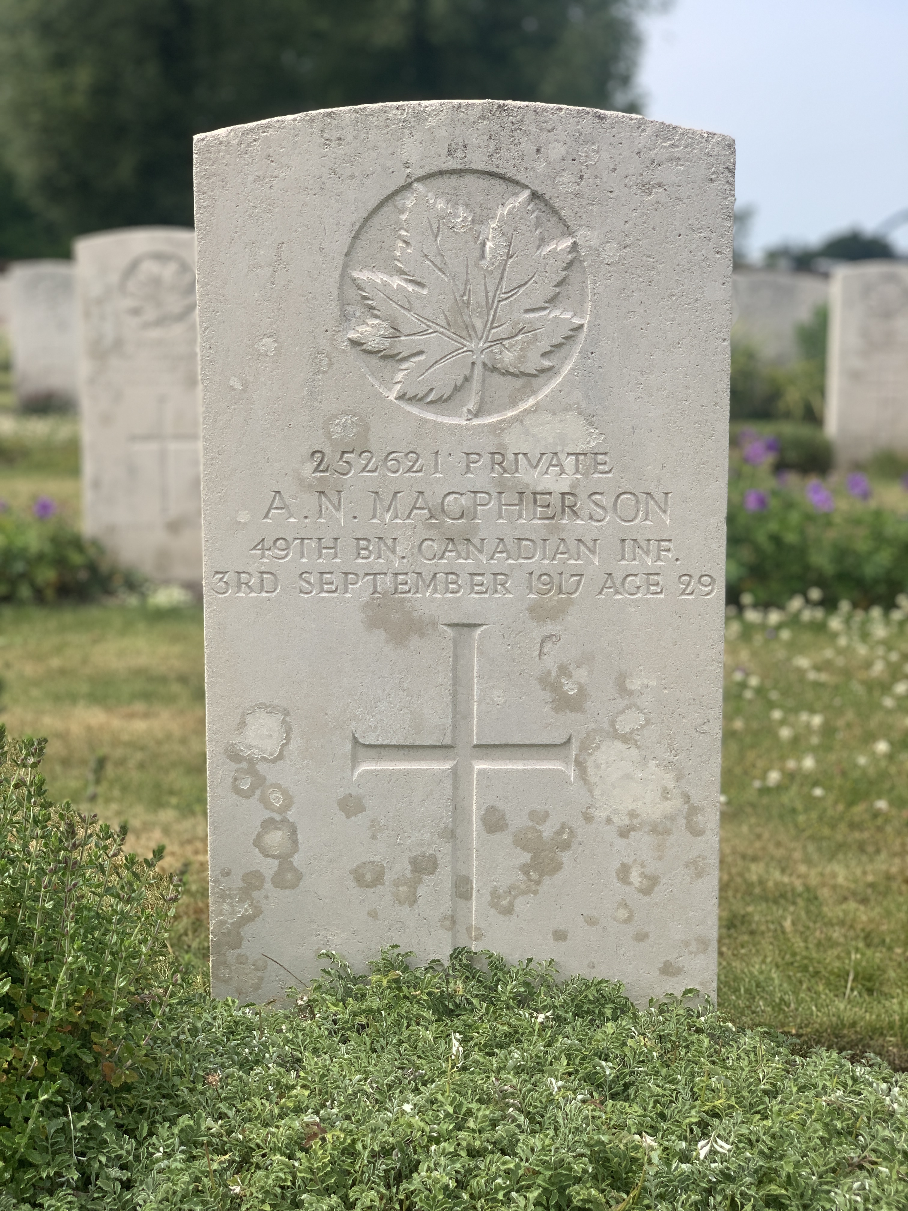 252621 Private Albert N. McPherson