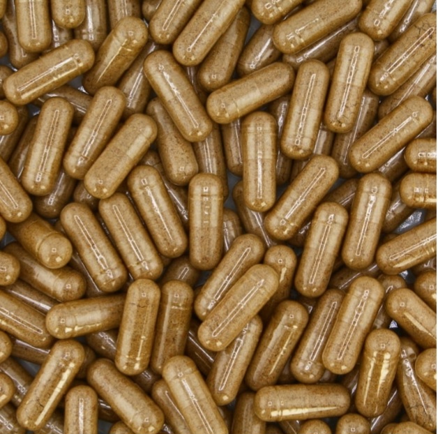 Cerebrina