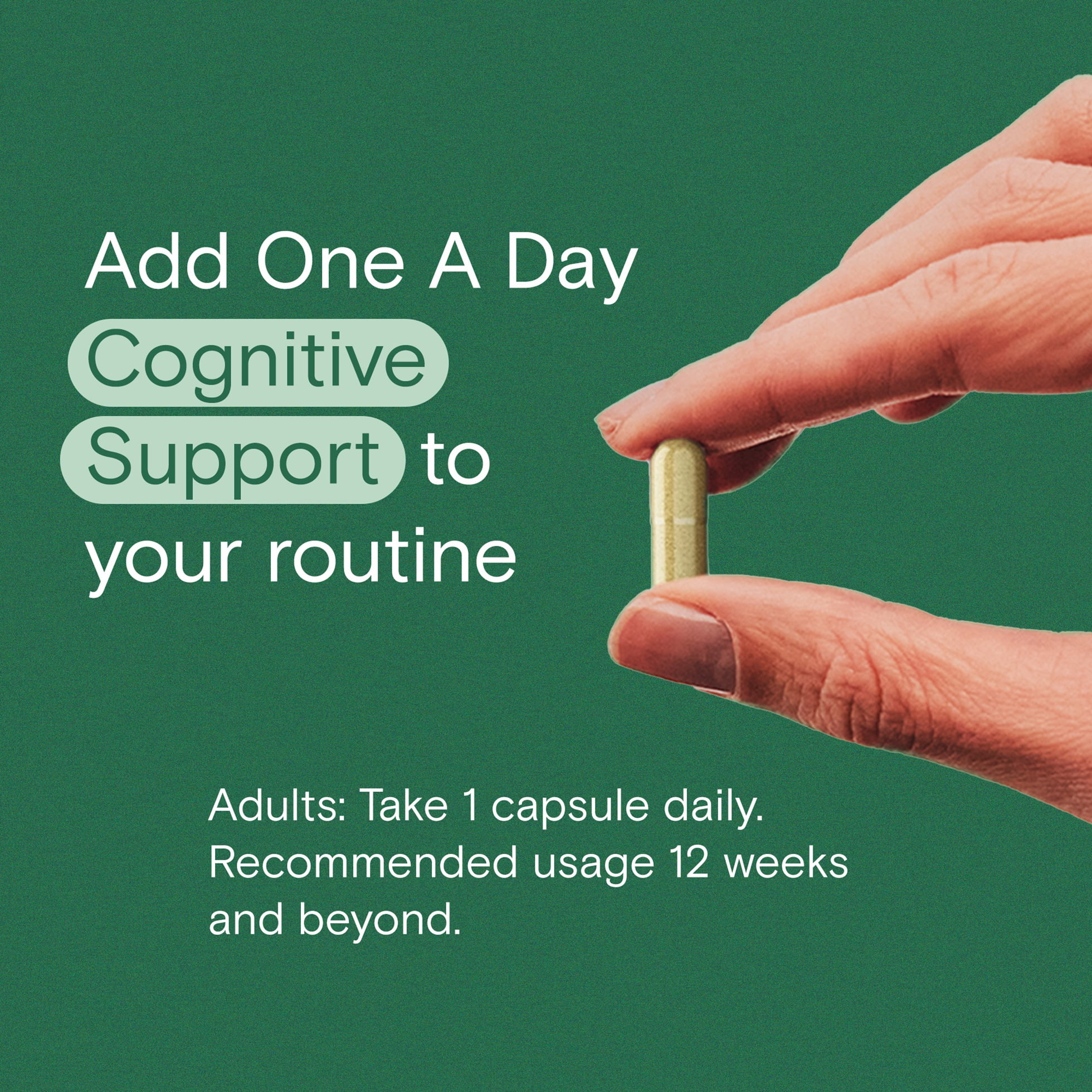 Soporte Cognitivo One A Day
