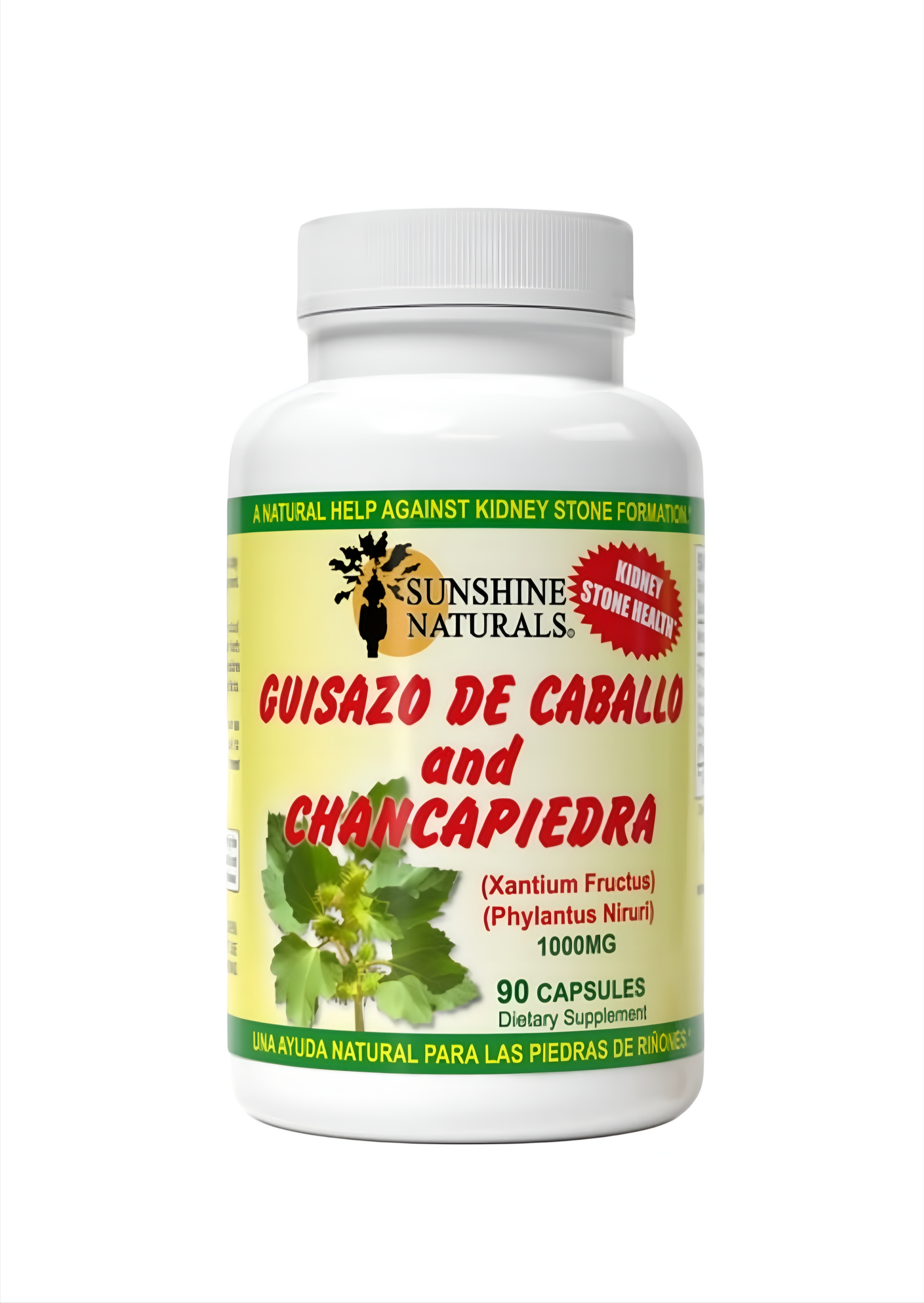 Guisazo de Caballo y Chancapiedra