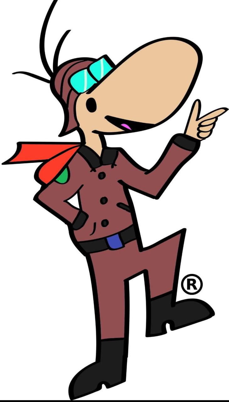 Para esto son las alas 