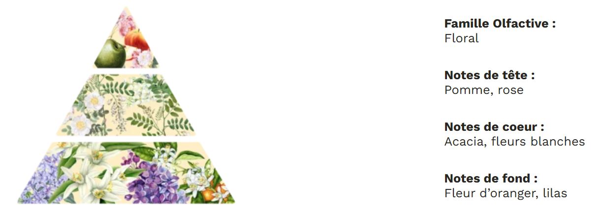 Douce Fleur d'Acacia