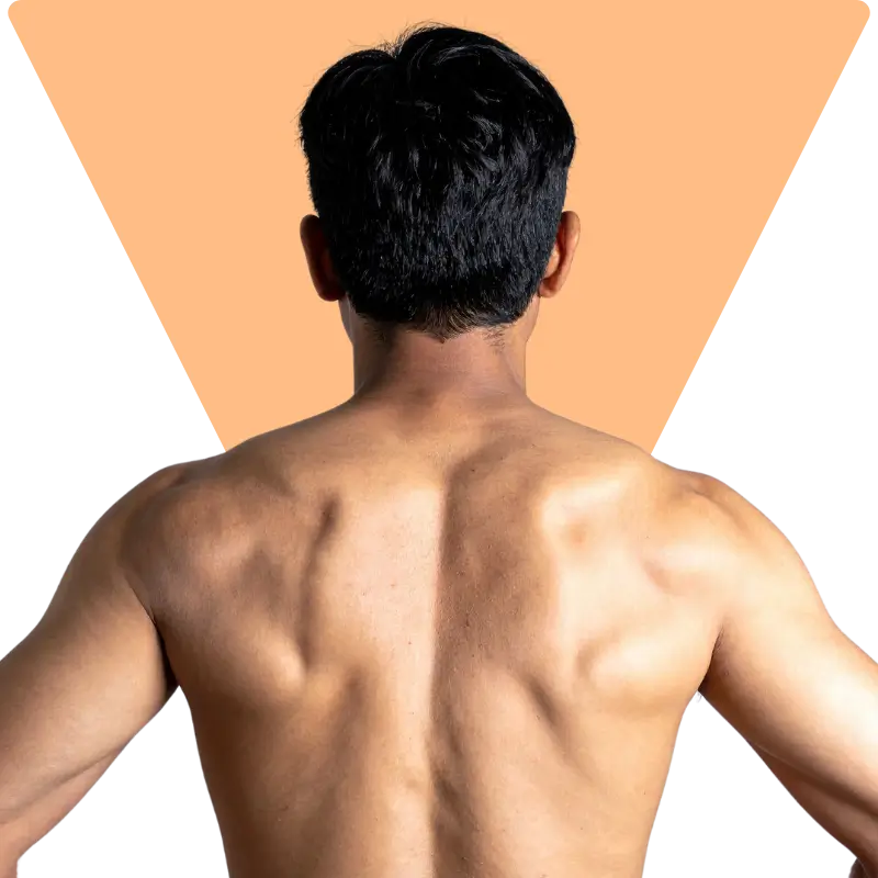 Paquete: Espalda | Hombros | Brazos Completos