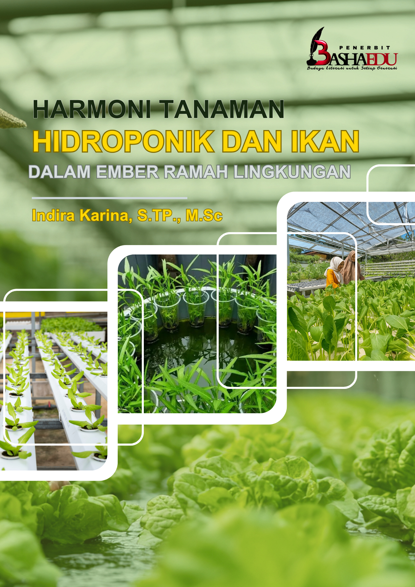 HARMONI TANAMAN HIDROPONIK DAN IKAN DALAM EMBER RAMAH LINGKUNGAN