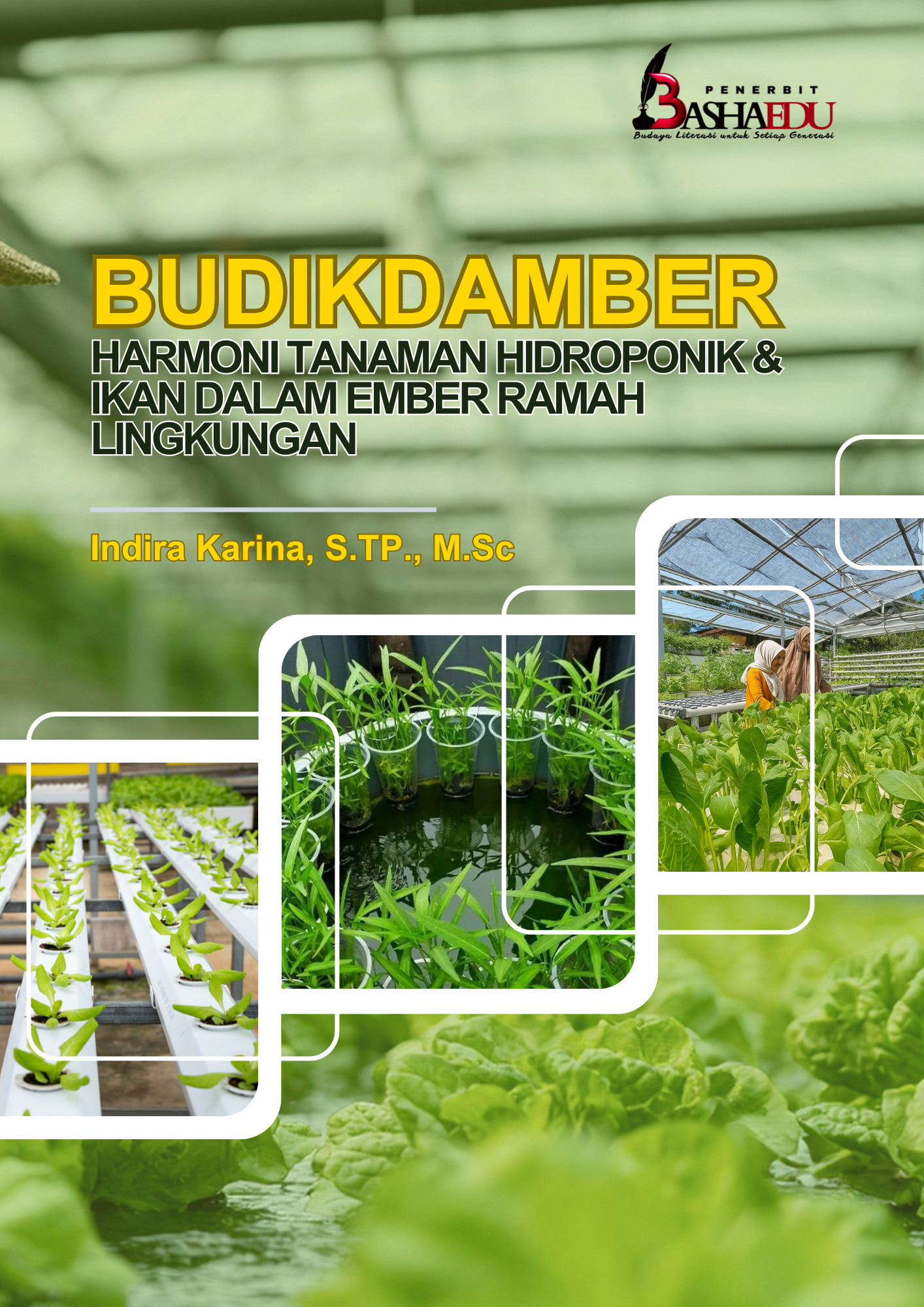 BUDIKDAMBER HARMONI TANAMAN HIDROPONIK DAN IKAN DALAM EMBER RAMAH LINGKUNGAN